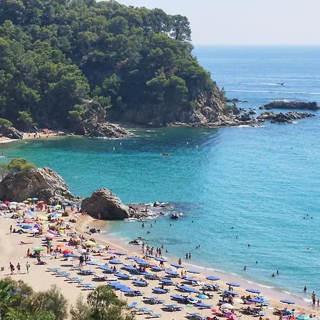 V&v Lloret- Europa Lloret de Mar