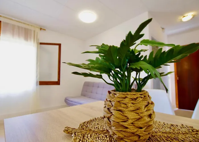 V&v Lloret: Garden With Pool, 150m From Canyelles