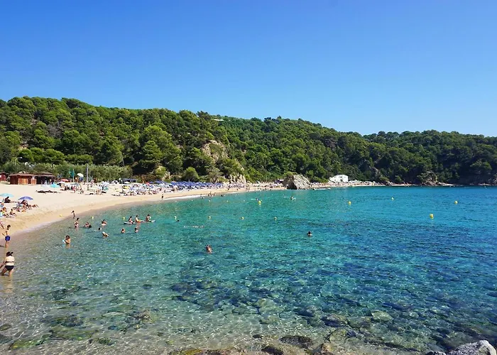 V&v Lloret: Garden With Pool, 150m From Canyelles Apartment *