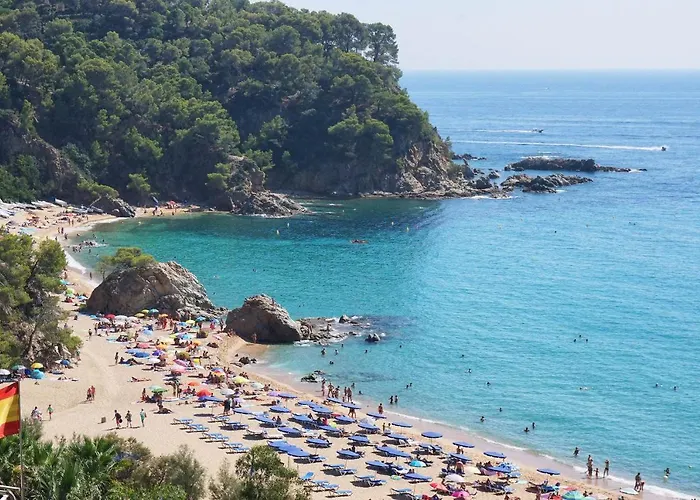 V&v Lloret- Europa Lloret de Mar