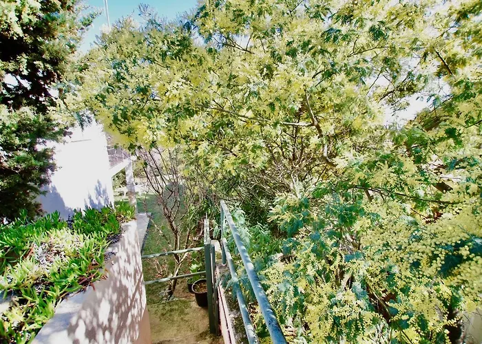 V&v Lloret- Europa 公寓 *