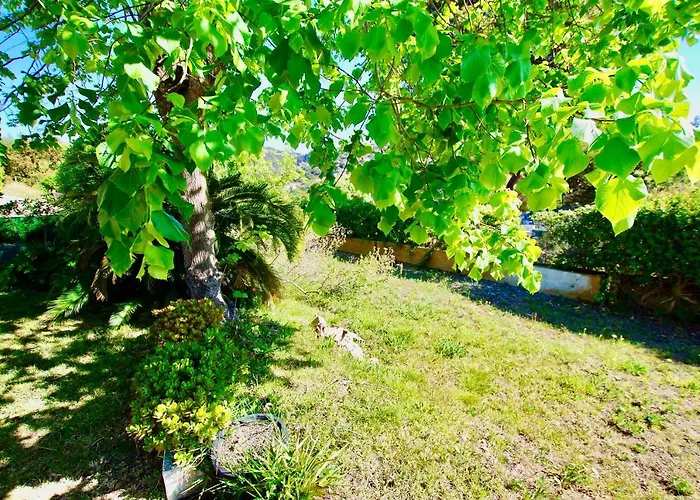 Apartment V&v Lloret: Garden With Pool, 150m From Canyelles *